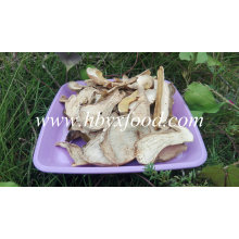 Paquete a granel Recorte Secado salvaje Funghi Rebanada orgánica Porcini Seta